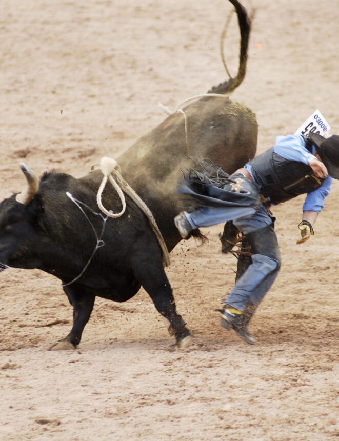 bull riding 13